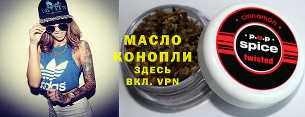 молекула духа Пересвет