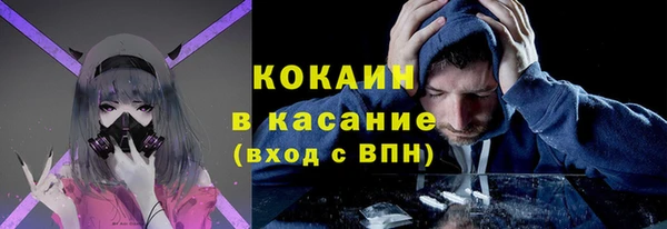молекула духа Пересвет