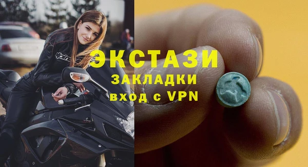 молекула духа Пересвет