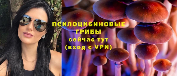 СК Пестово